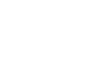 Auto-Sale